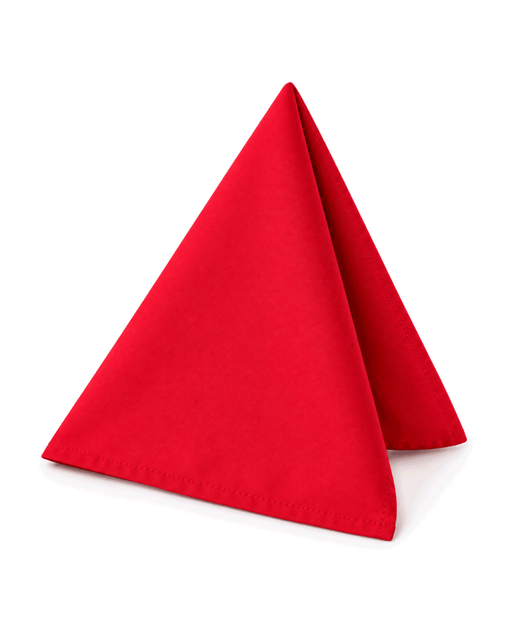 Table Napkin - Pack of 6