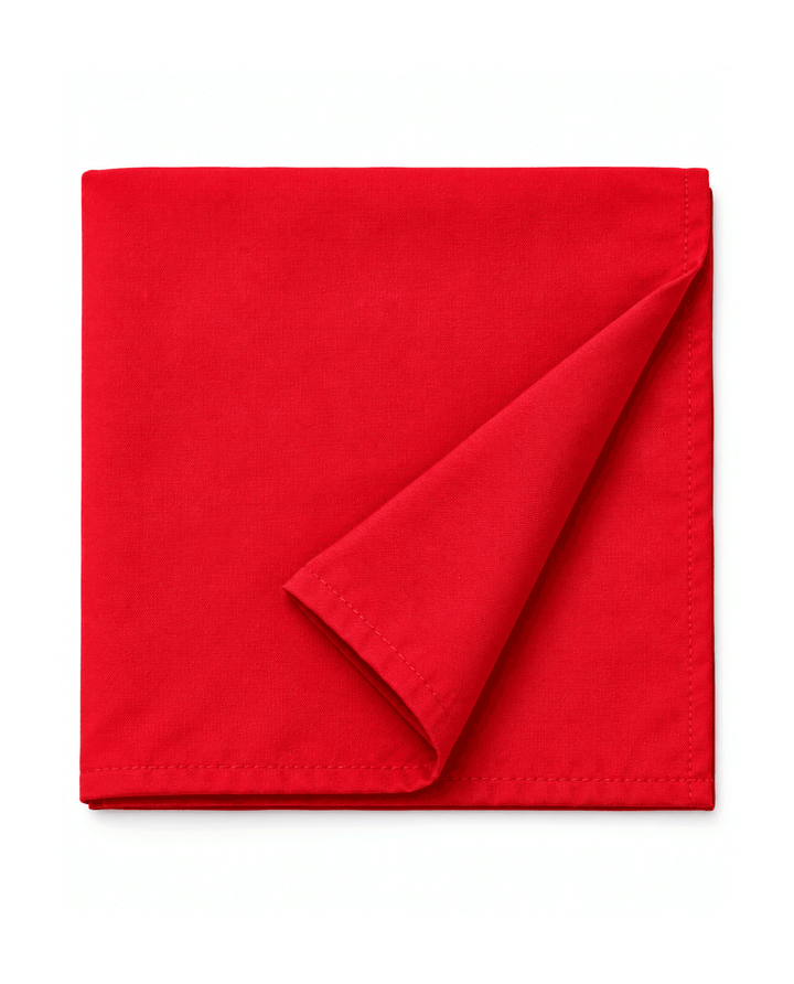 Table Napkin - Pack of 6